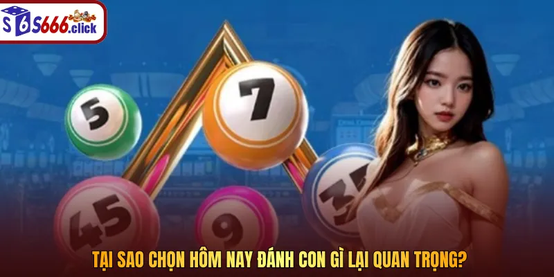 Tại sao chọn hôm nay đánh con gì lại quan trọng?