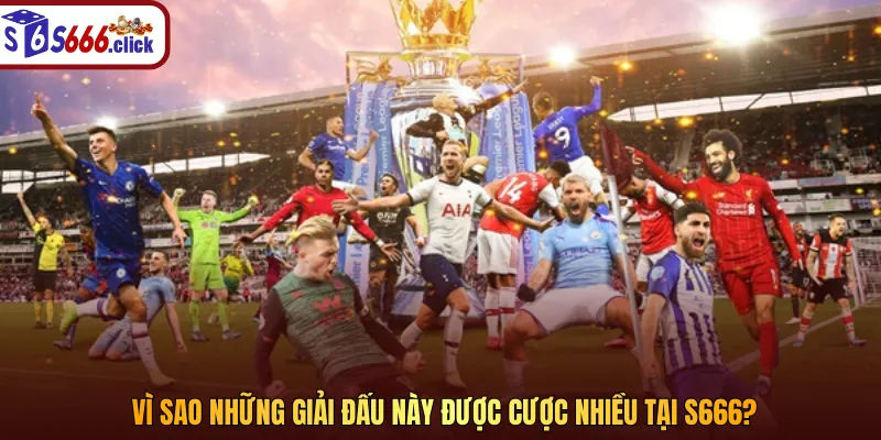 Vì sao những giải đấu này được cược nhiều tại S666?
